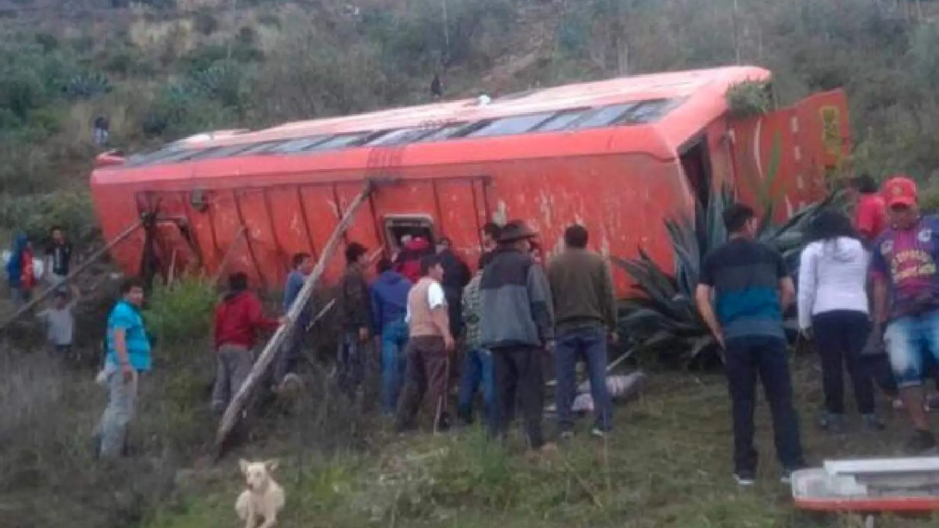 Autobus 11 fallecidos en pERÚ